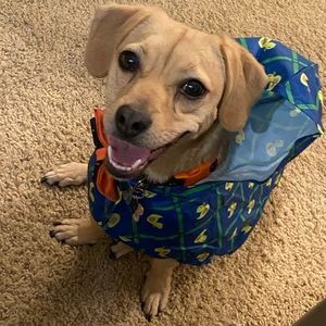 Meet your Posher, Susana